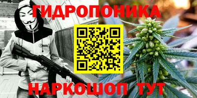 сатива Волжский