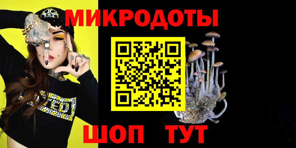 Лесосибирск  Псилоцибиновые грибы мухоморы  Вход с VPN 