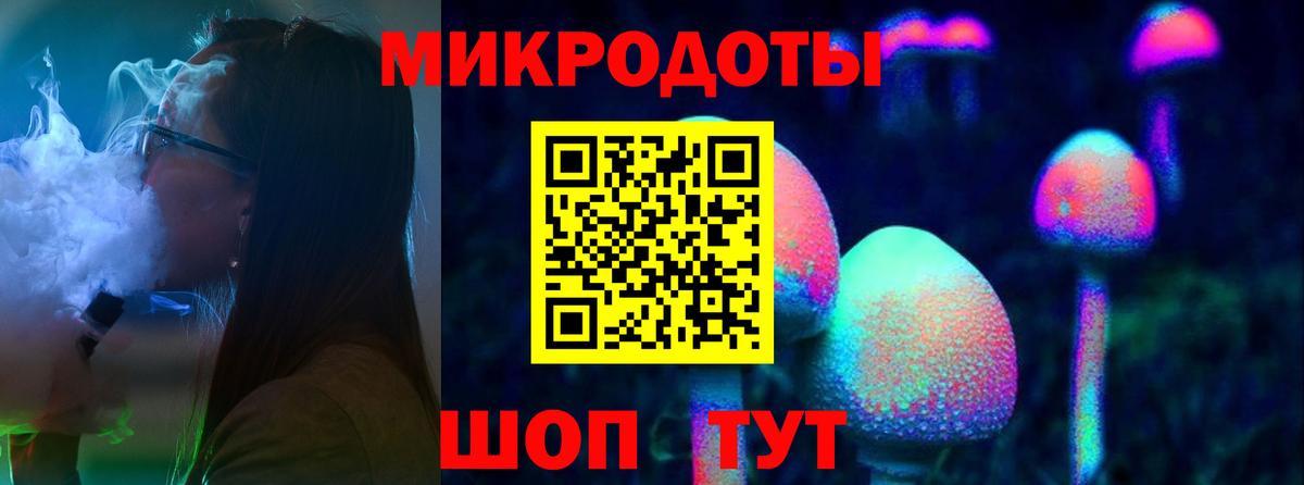 Галлюциногенные грибы Psilocybe Лесосибирск