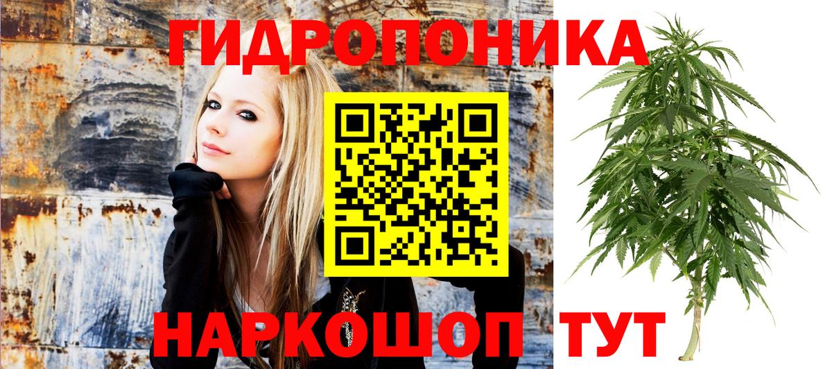 Каннабис гибрид  Вход с VPN  Лесосибирск  МАРИХУАНА Amnesia 